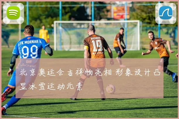 北京奥运会吉祥物亮相 形象设计凸显冰雪运动元素