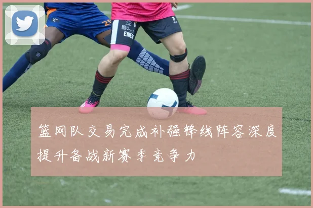 篮网队交易完成补强锋线阵容深度提升备战新赛季竞争力