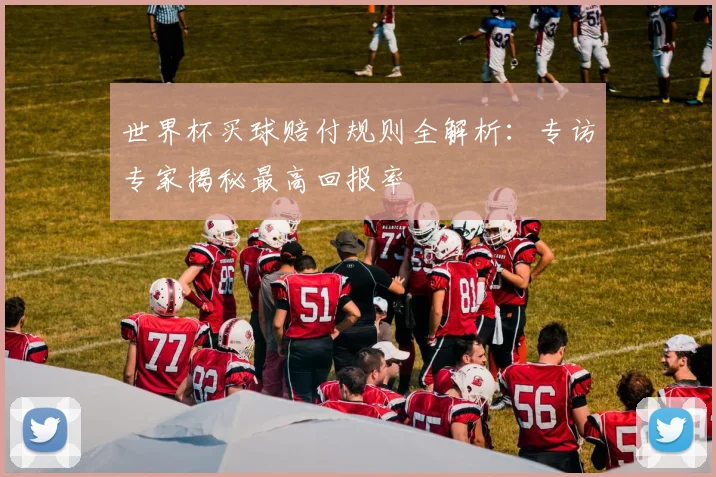 世界杯买球赔付规则全解析：专访专家揭秘最高回报率