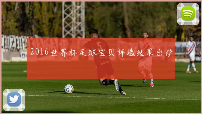 2016世界杯足球宝贝评选结果出炉