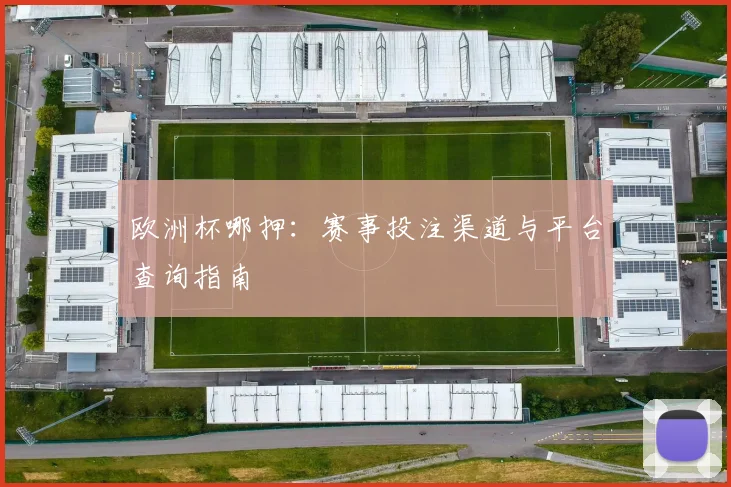 欧洲杯哪押:赛事投注渠道与平台查询指南