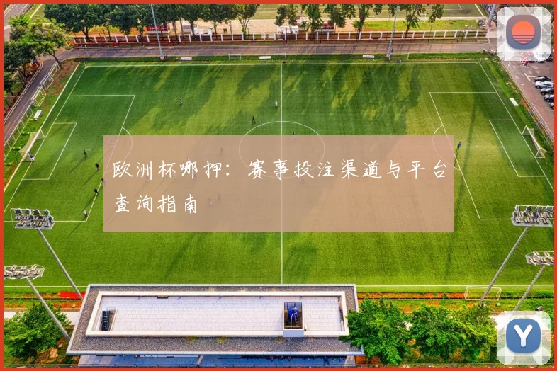 欧洲杯哪押:赛事投注渠道与平台查询指南