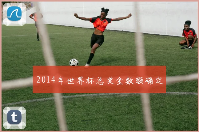 2014年世界杯总奖金数额确定