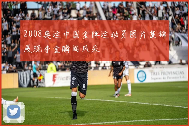 2008奥运中国金牌运动员图片集锦展现夺金瞬间风采