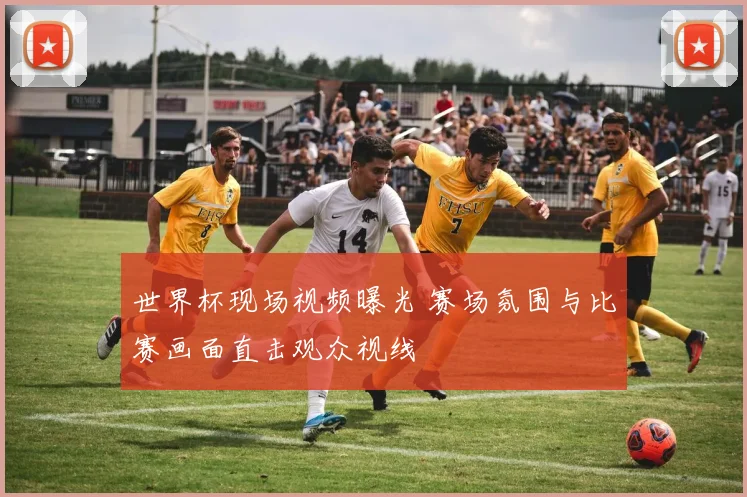 世界杯现场视频曝光 赛场氛围与比赛画面直击观众视线