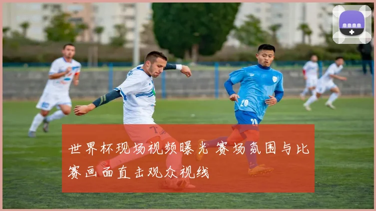 世界杯现场视频曝光 赛场氛围与比赛画面直击观众视线