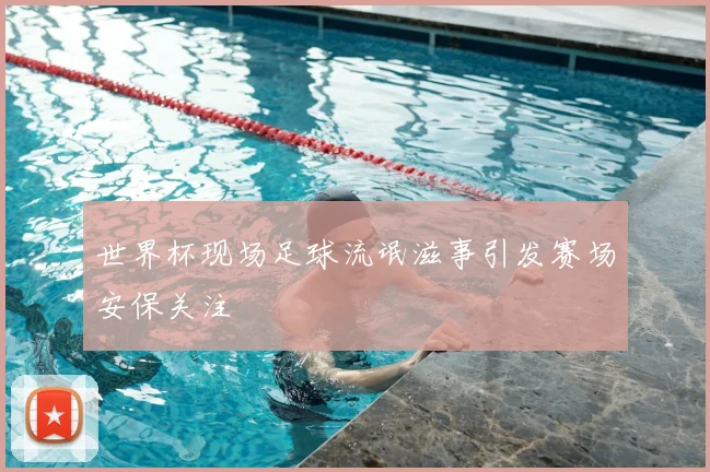 世界杯现场足球流氓滋事引发赛场安保关注