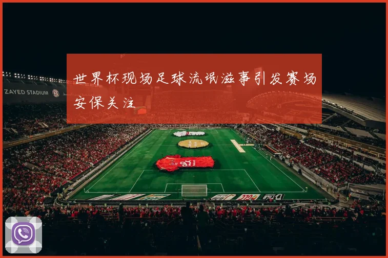 世界杯现场足球流氓滋事引发赛场安保关注