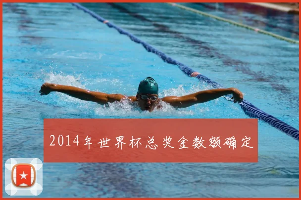 2014年世界杯总奖金数额确定