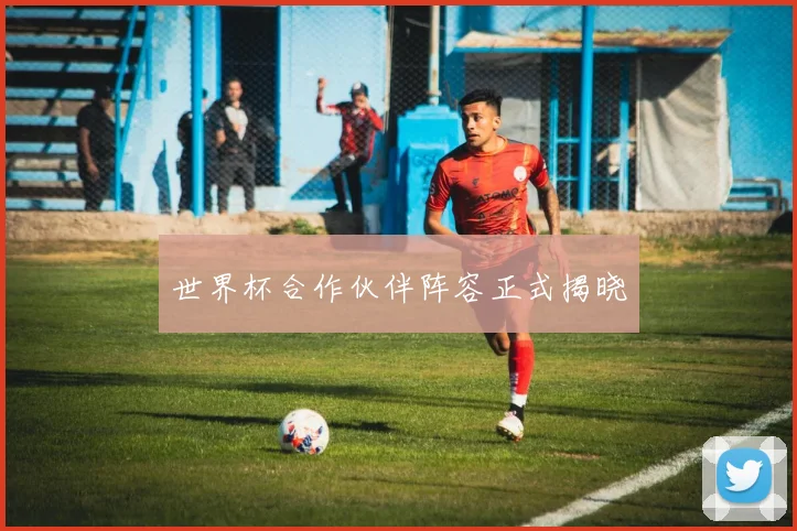 世界杯合作伙伴阵容正式揭晓